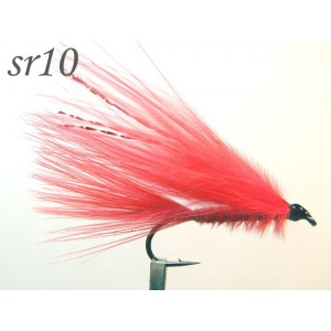 sr010