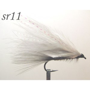 sr011