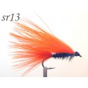 sr013