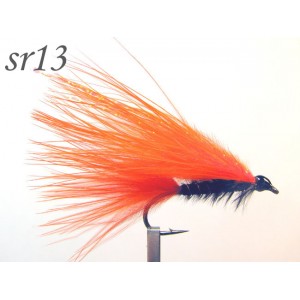 sr013