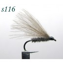 s116