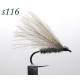 s116