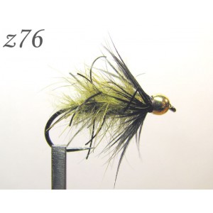 z076
