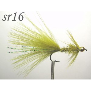 sr016