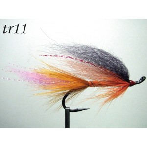 tr11