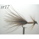 sr017