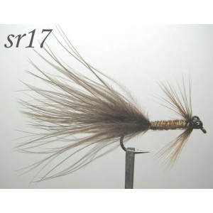 sr017