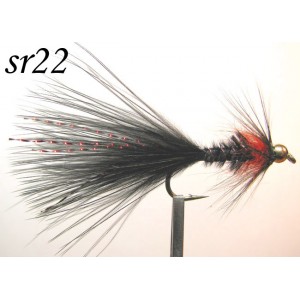 sr022