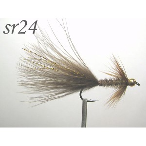 sr024