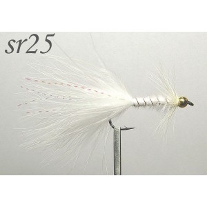 sr025
