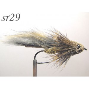 sr029