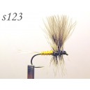 s123