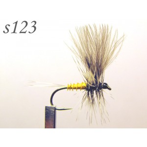 s123