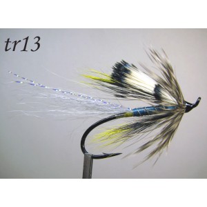 tr13