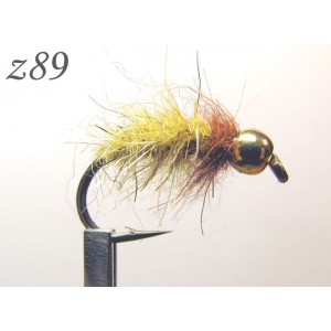 z089