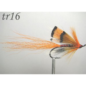 tr16