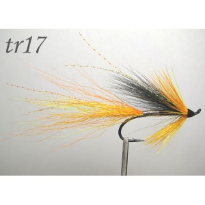 tr17