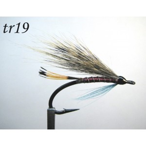 tr19