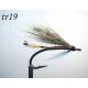 tr19