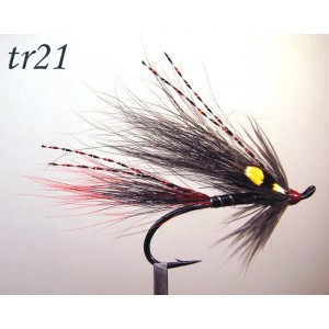 tr21