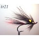 tr21