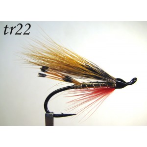 tr22
