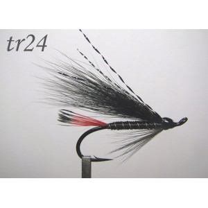 tr24