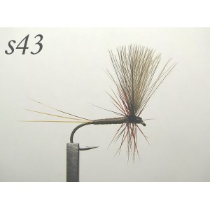 s043