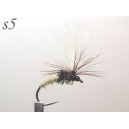 s005