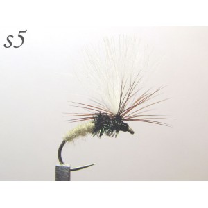 s005
