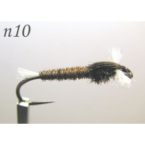 n010