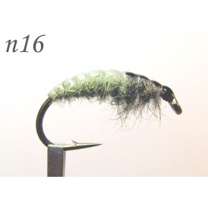 n016