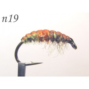 n019