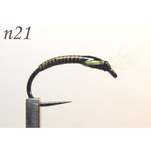 n021