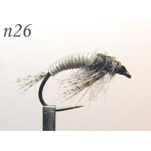 n026