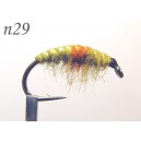 n029