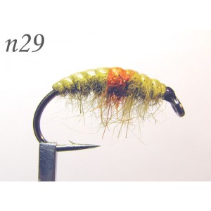 n029