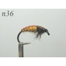 n036