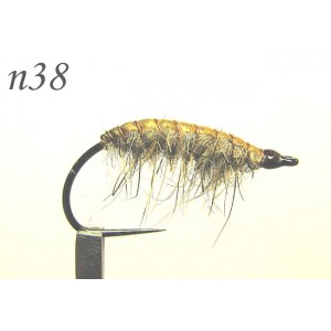 n038