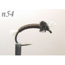n054