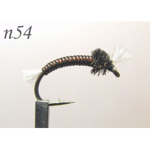 n054