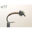 n055