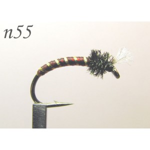 n055