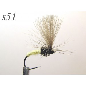 s051