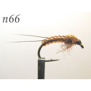 n066