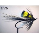 tr26