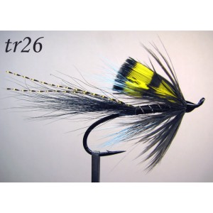 tr26