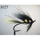 tr25