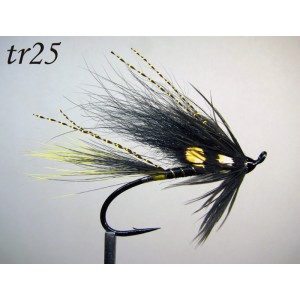 tr25