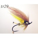tr29